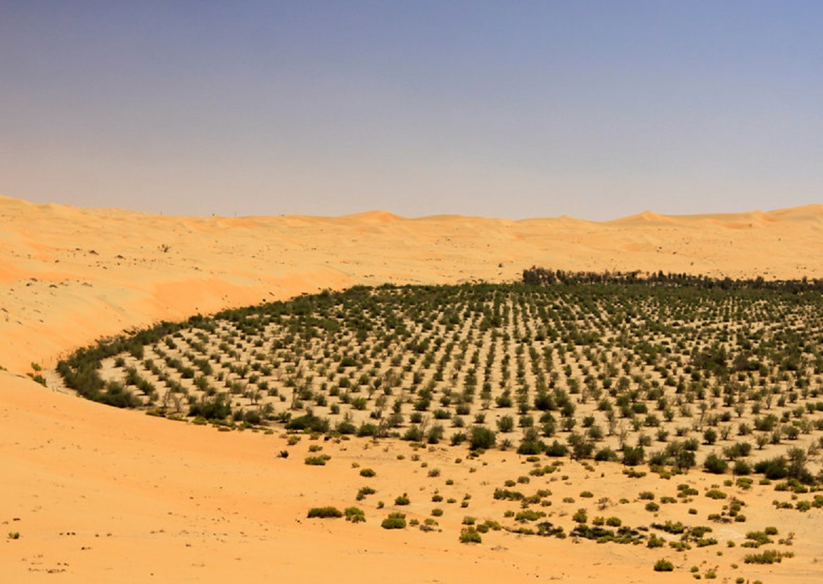 Кругом было пустынно. Озеленение пустыни в Саудовской Аравии. Эль-Джауф (Саудовская Аравия). Озеленения пустыни Саудиа Аравия. Саудовская Аравия поливные поля.